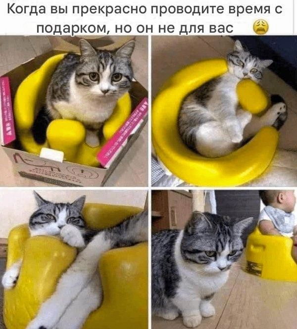 Когда вы прекрасно проводите время с подарком, но он не для вас.