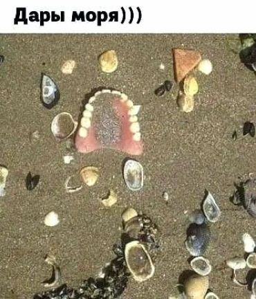 Дары моря)))