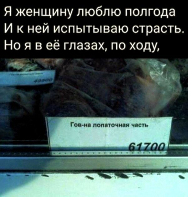 Я женщину люблю полгода
И к ней испытываю страсть.
Но я в её глазах, по ходу,
Гов-на лопаточная часть
61700