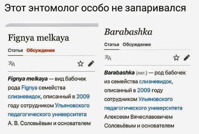 Этот энтомолог особо не запаривался

Fignya melkaya

— вид бабочек рода Fignya семейства слезинедок, описанный в 2009 году сотрудником Ульяновского педагогического университета А. В. Соловьёвым в соавторах.

Barabashka

(лат.) — род бабочек из семейства слезинедок, описанный в 2009 году сотрудником Ульяновского педагогического университета Алексеем Вячеславовичем Соловьёвым в соавторах.