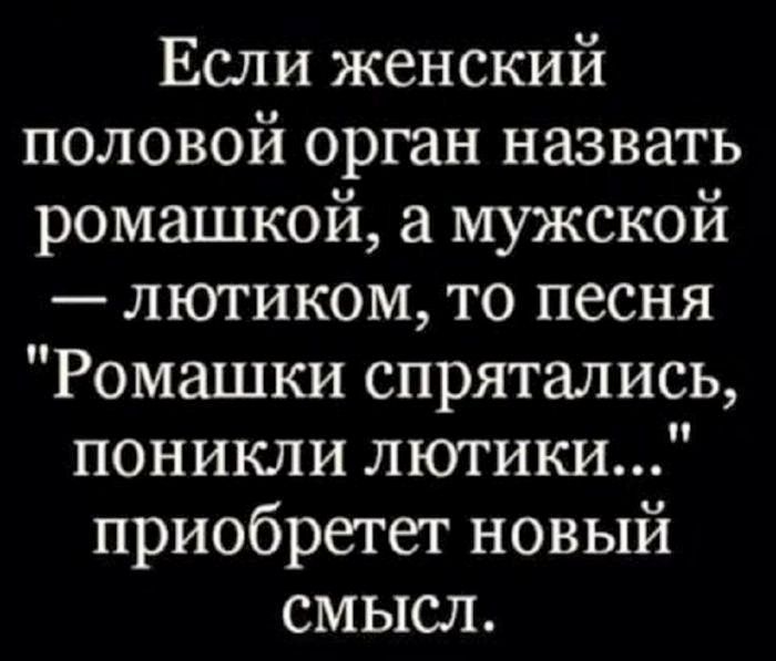 Если женский половой орган назвать ромашкой, а мужской — лютиком, то песня 