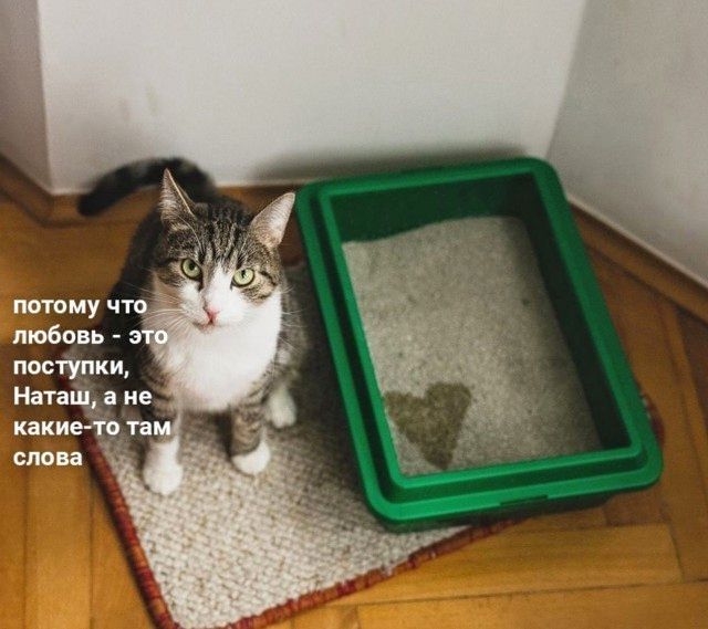 потому что любовь - это поступки, Наташ, а не какие-то там слова