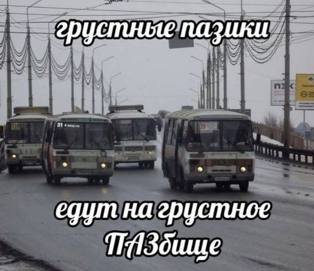грустные пазики едут на грустное ПАЗбище
