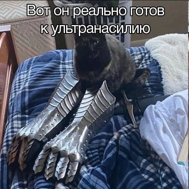 Вот он реально готов к ультранасилию