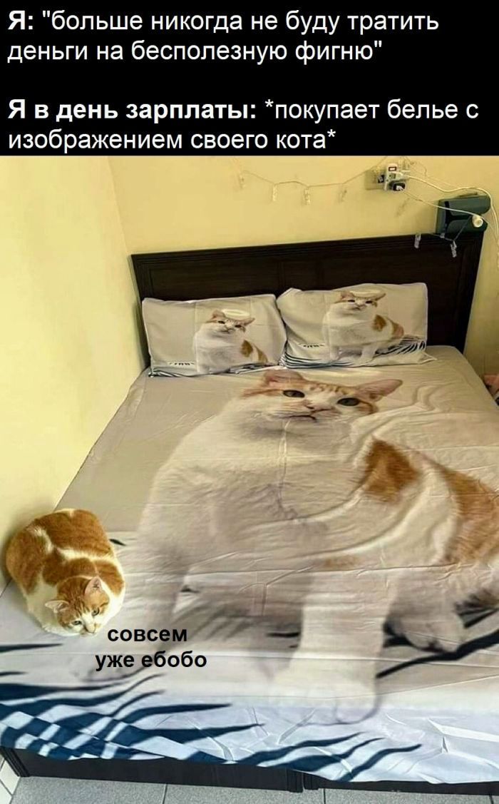Я: 
