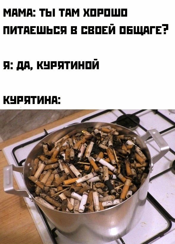 МАМА: ТЫ ТАМ ХОРОШО ПИТАЕШЬСЯ В СВОЕЙ ОБЩАГЕ?
Я: ДА, КУРЯТИНОЙ
КУРЯТИНА: