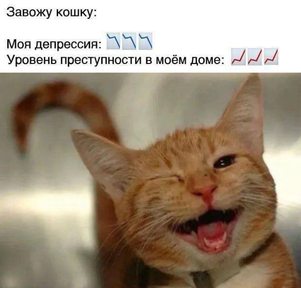 Завожу кошку:
Моя депрессия: ⬜⬜
Уровень преступности в моём доме: ⬜⬜