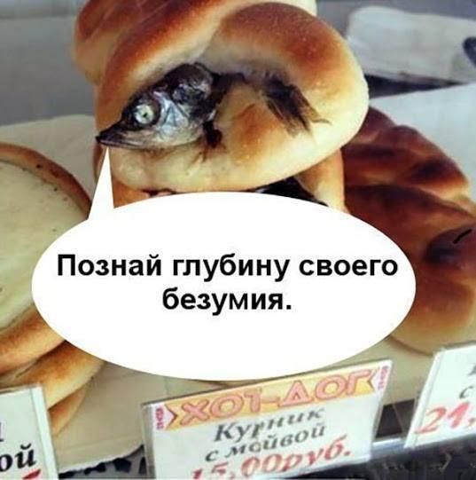 Познай глубину своего безумия.