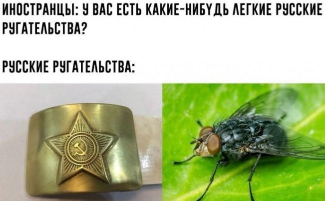 Иностранцы: У вас есть какие-нибудь лёгкие русские ругательства?
Русские ругательства: