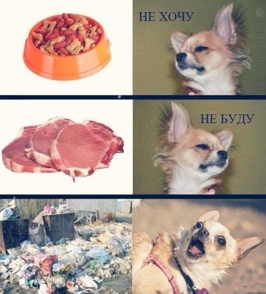 НЕ ХОЧУ
НЕ БУДУ