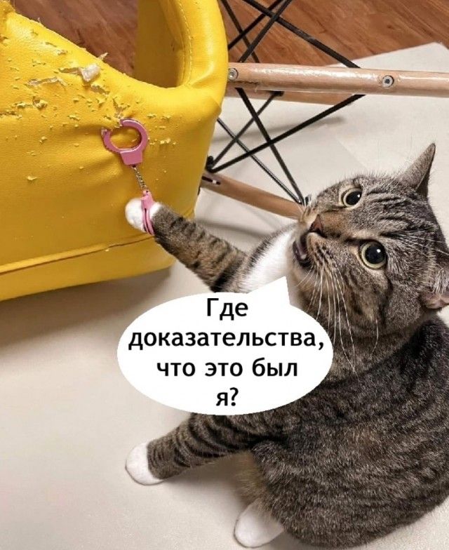 Где доказательства, что это был я?
