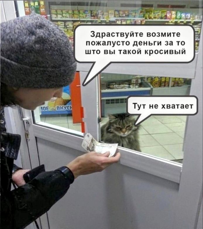 Здравствуйте возьмите пожалуйста деньги за то что вы такой кросивый Тут не хватает