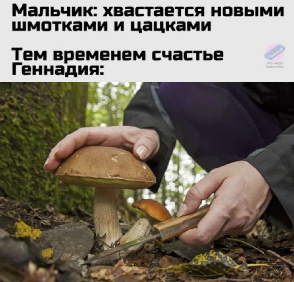 Мальчик: хвастается новыми шмотками и цацками
Тем временем счастье Геннадия: