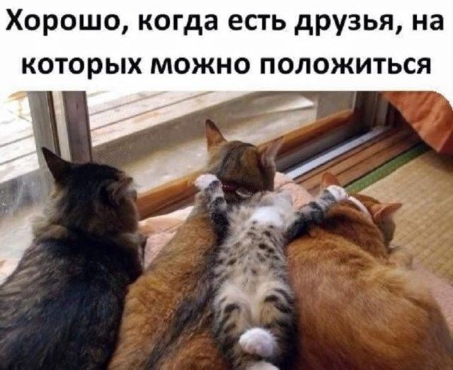 Хорошо, когда есть друзья, на которых можно положиться