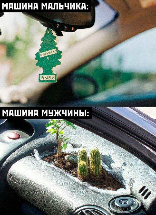 МАШИНА МАЛЬЧИКА:
МАШИНА МУЖЧИНЫ: