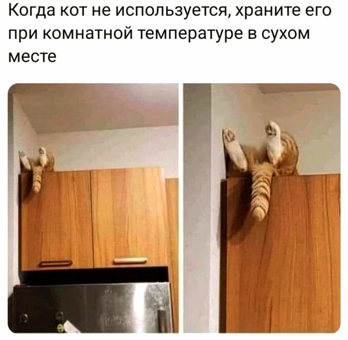 Когда кот не используется, храните его при комнатной температуре в сухом месте