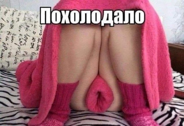 Похолодало