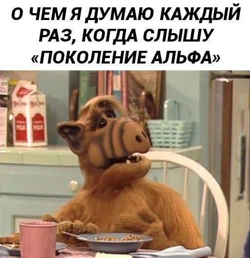 о чем я думаю каждый раз, когда слышу «поколение альфа»