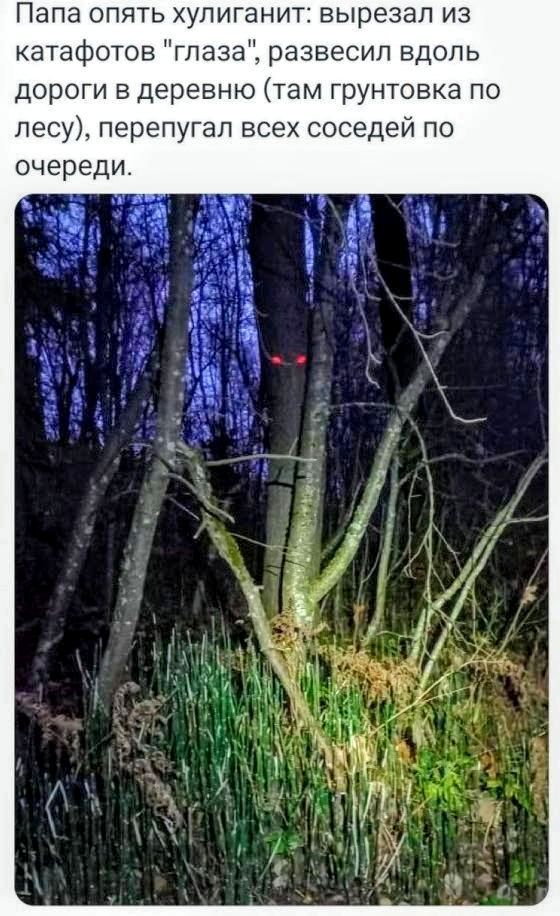 Папа опять хулиганит: вырезал из катофотов 