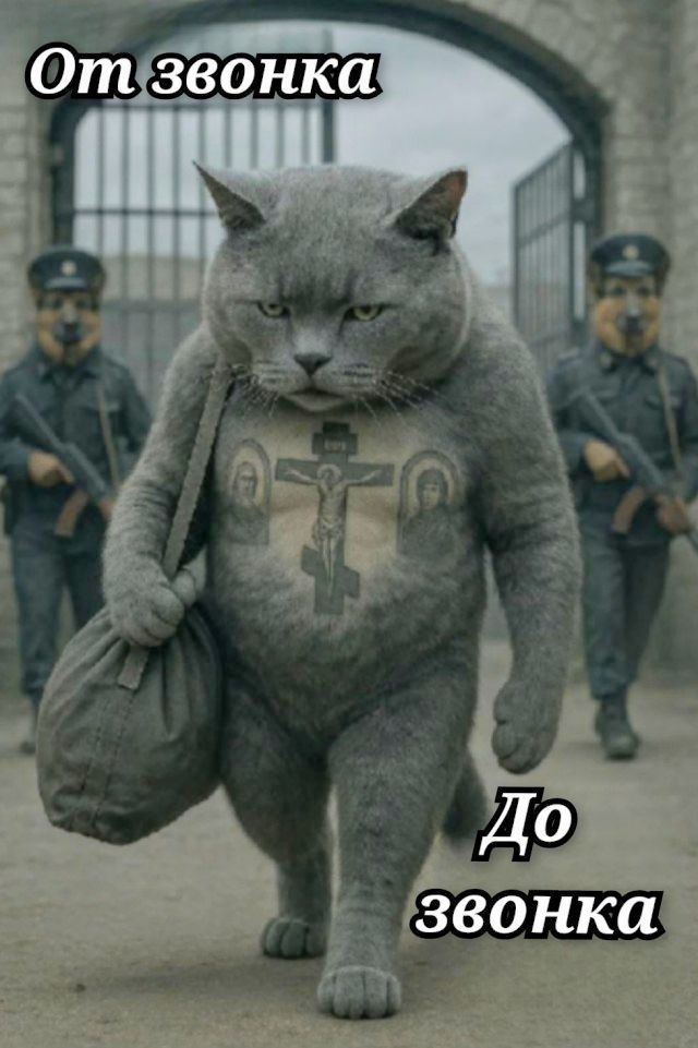 От звонка До звонка