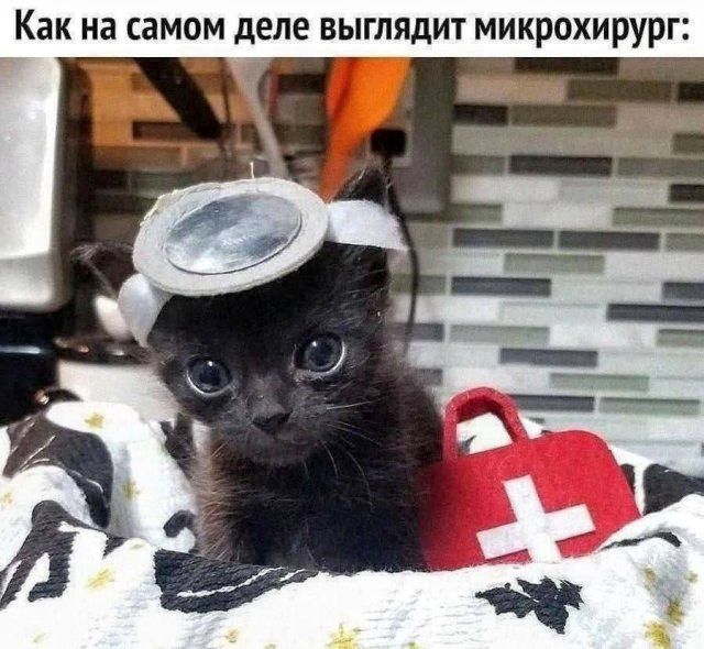 Как на самом деле выглядит микрохирург: