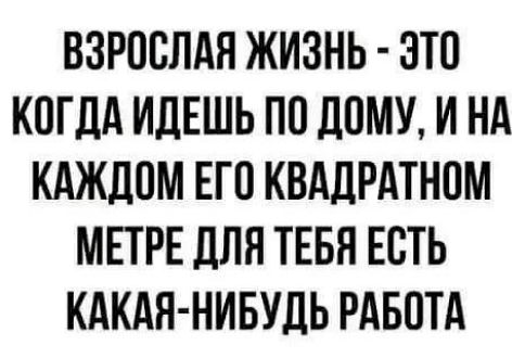ВЗРОСЛАЯ ЖИЗНЬ - ЭТО КОГДА ИДЕШЬ ПО дому, И НА КАЖДОМ ЕГО КВАДРАТНОМ МЕТРЕ ДЛЯ ТЕБЯ ЕСТЬ КАКАЯ-НИБУДЬ РАБОТА