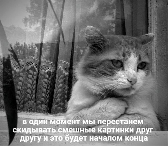 в один момент мы перестаем скидывать смешные картинки друг другу и это будет началом конца