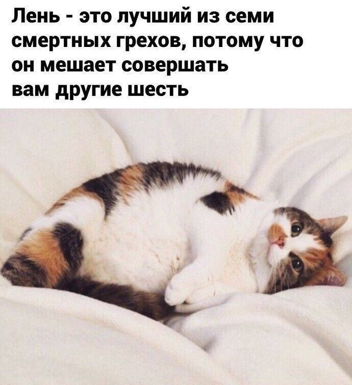 Лень - это лучший из семи смертных грехов, потому что он мешает совершать вам другие шесть