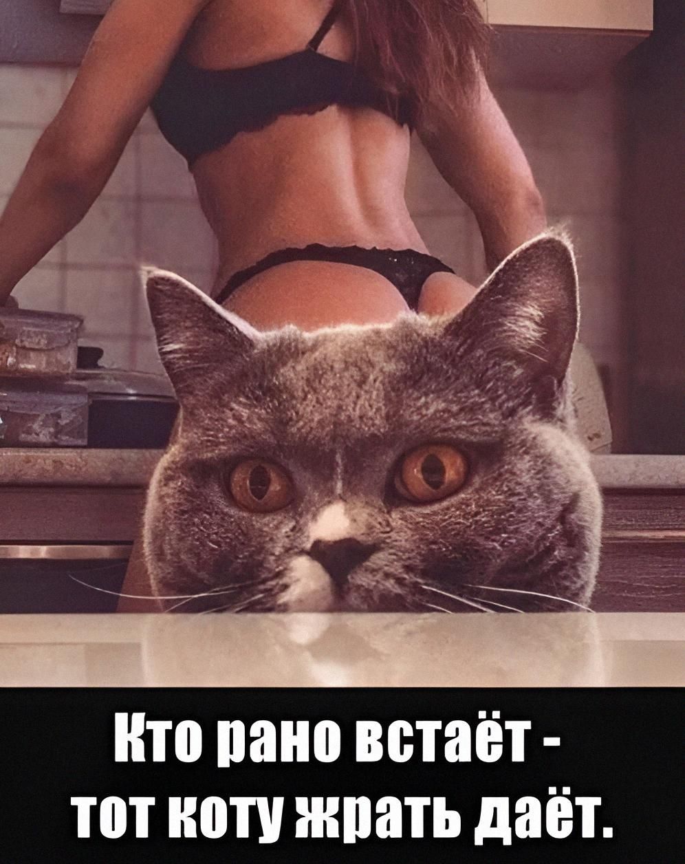 Кто рано встаёт - тот коту жрать даёт.