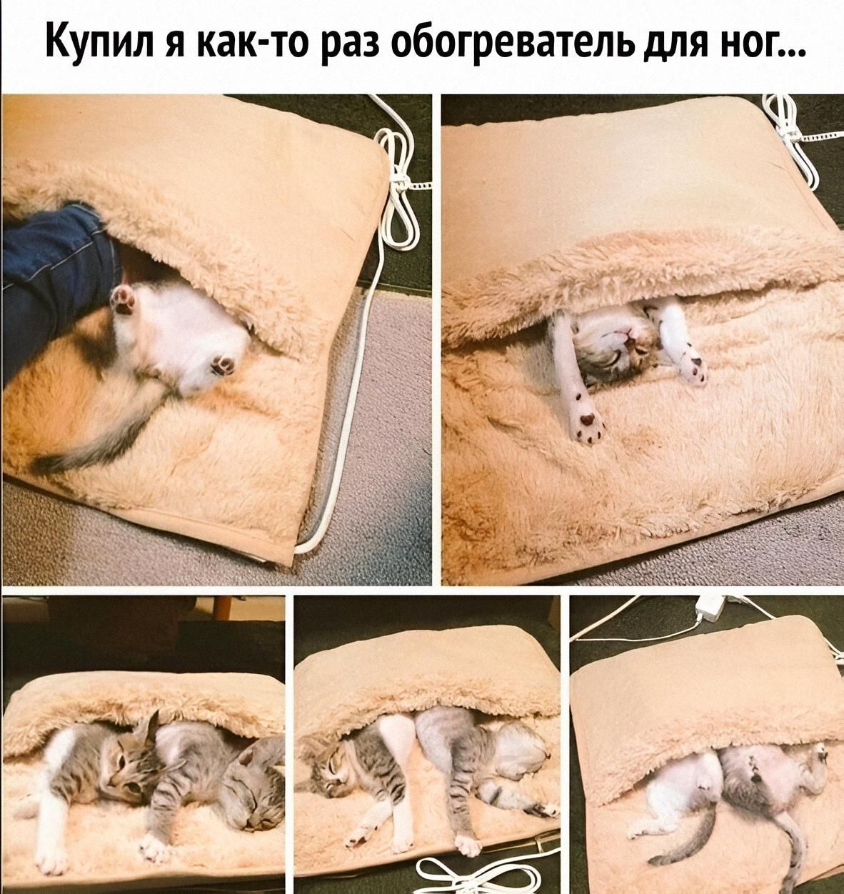 Купил я как-то раз обогреватель для ног...