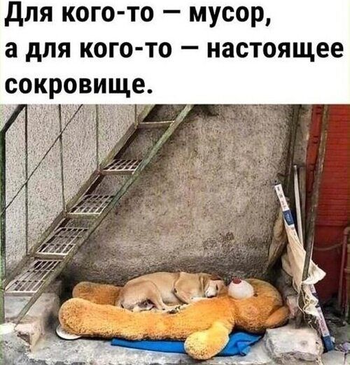 Для кого-то — мусор, а для кого-то — настоящее сокровище.