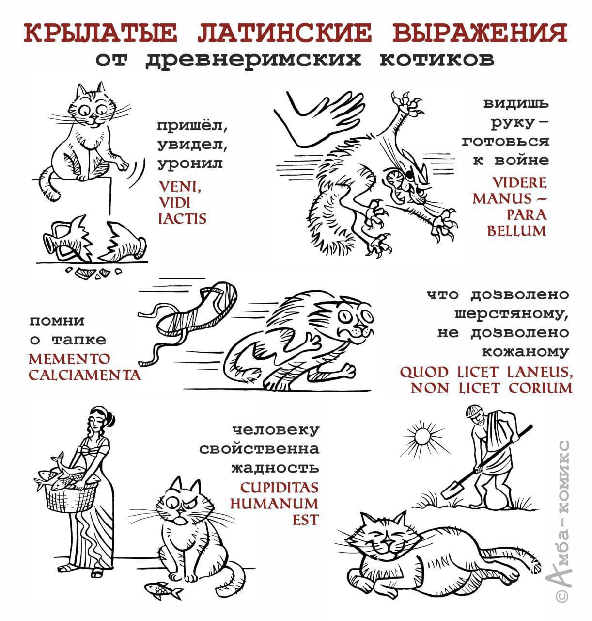 КРЫЛАТЫЕ ЛАТИНСКИЕ ВЫРАЖЕНИЯ от древнеримских котиков
прийшёл, увидел, улонил
VENI, VIDI, IACTIS
видишь — руку — готовься к войне
VIDERE MANUS — PARABELLUM
помни о танке
MEMEMTO CALCIMENTA
человеку свойственна жадность
CUPIDITAS HUMANUM EST
что позволено кошачьему, не позволено кожаному
QUOD LICET LANUS, NON LICET CORIUM
