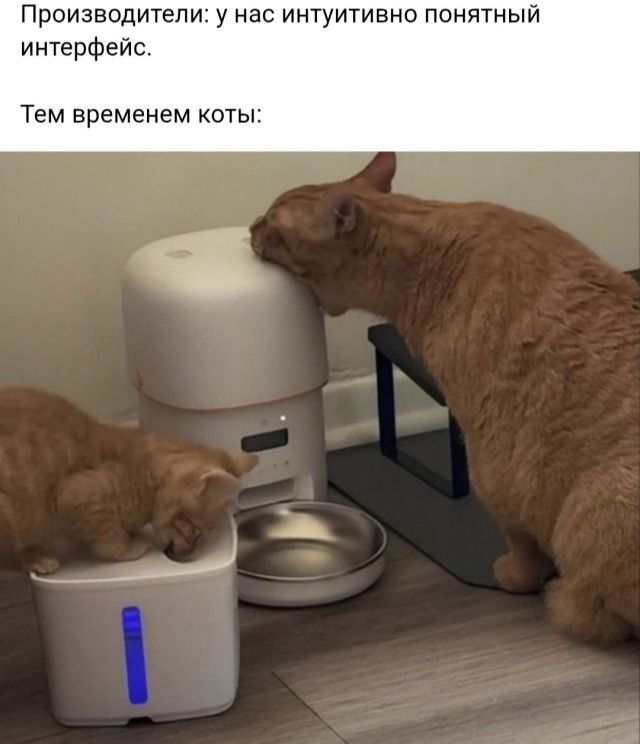 Производители: у нас интуитивно понятный интерфейс.
Тем временем коты: