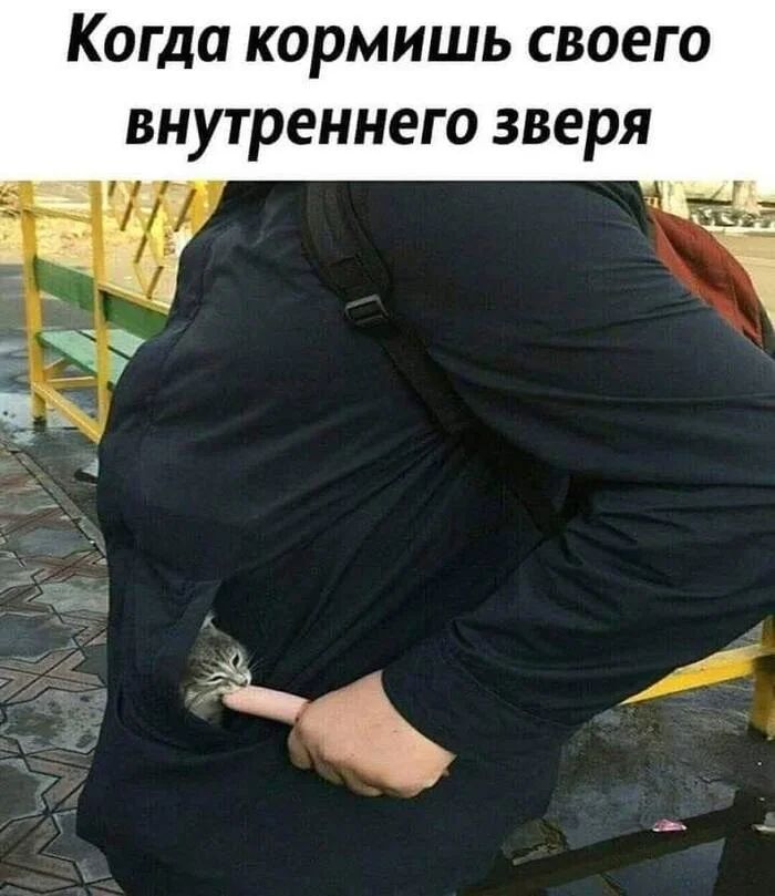 Когда кормишь своего внутреннего зверя