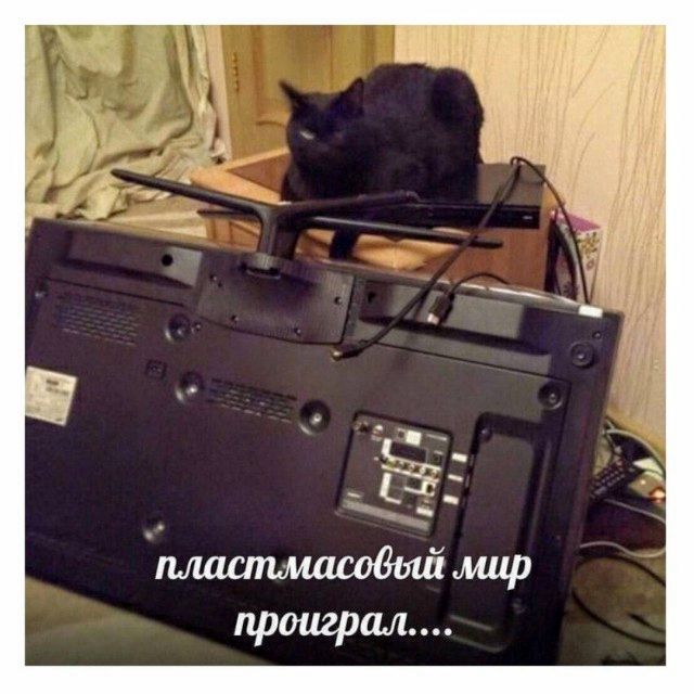 пластмассовый мир проиграл...