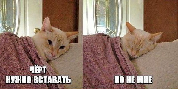 ЧЁРТ НУЖНО ВСТАВАТЬ
НО НЕТ МНЕ