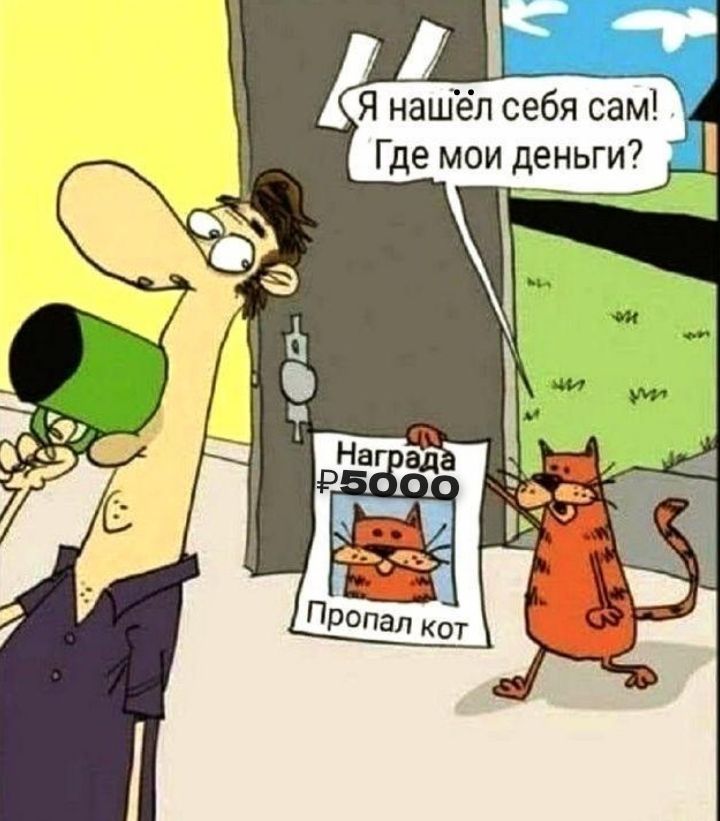 Я нашёл себя сам! Где мои деньги? Награда 5000 Пропал кот