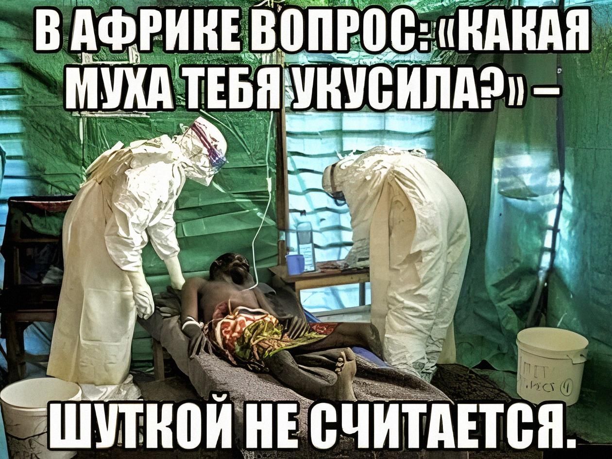 В АФРИКЕ ВОПРОС: «КАКАЯ МУХА ТЕБЯ УКУСИЛА?» – ШУТКОЙ НЕ СЧИТАЕТСЯ.