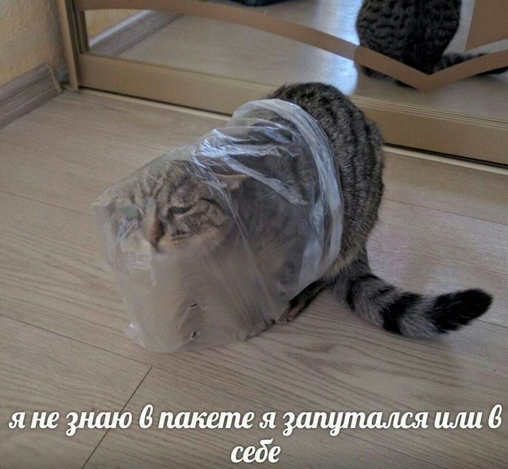 я не знаю в пакете я запутался или в себе