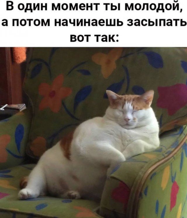 В один момент ты молодой, а потом начинаешь засыпать вот так:
