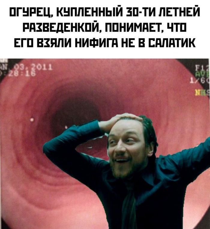 Огурец, купленный 30-ти летней разведке, понимает, что его взяли нифига не в салатик