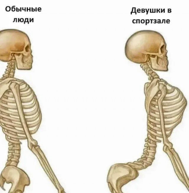 Обычные люди\nДевушки в спортзале