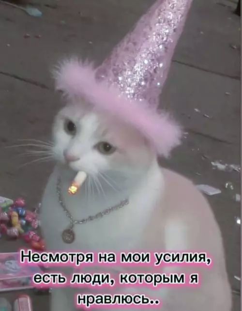 Несмотря на мои усилия, есть люди, которым я нравлюсь..