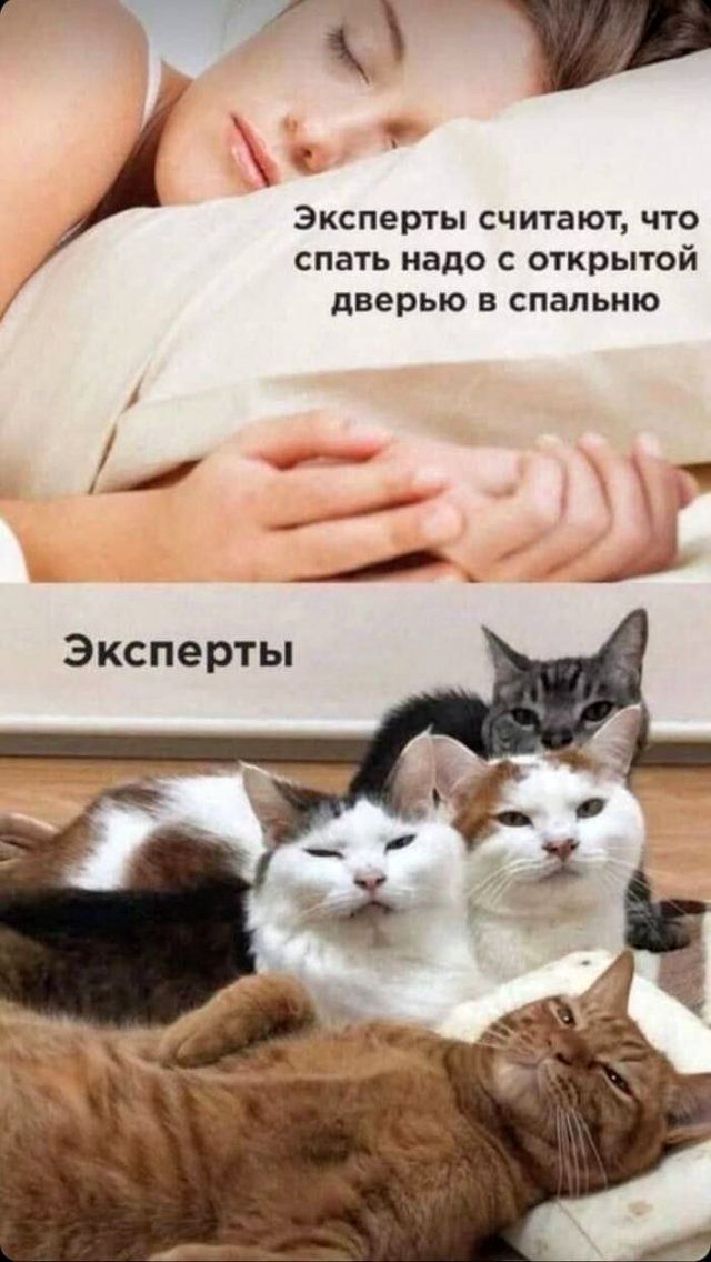 Эксперты считают, что спать надо с открытой дверью в спальню
Эксперты