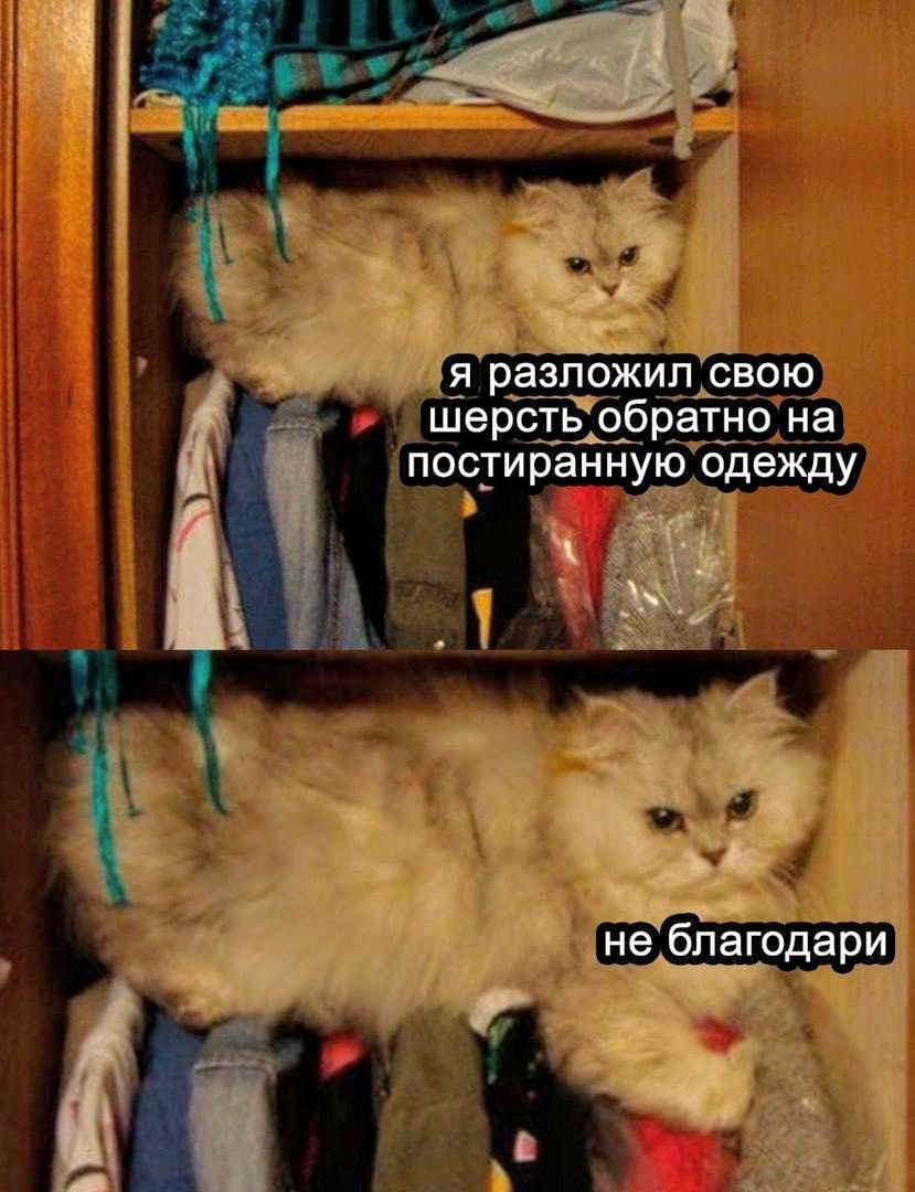я разложил свою шерсть обратно на пострайнную одежду
не благодари