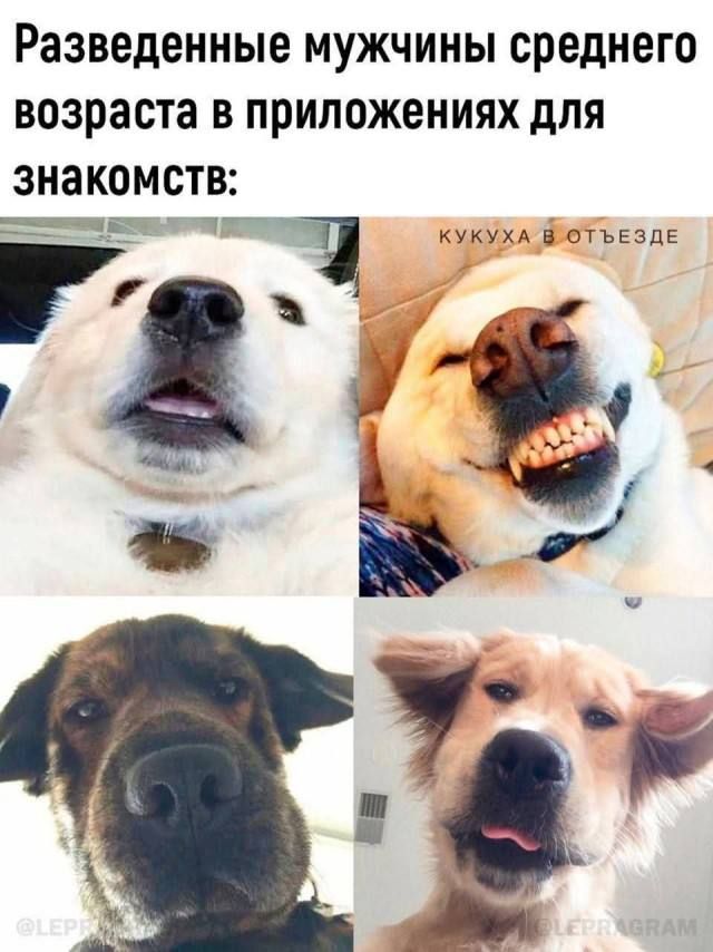 Разведенные мужчины среднего возраста в приложениях для знакомств: