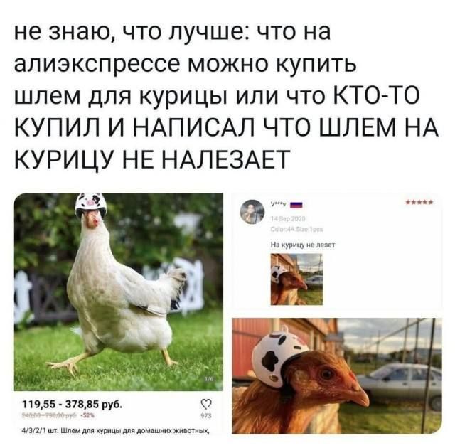 не знаю, что лучше: что на алиэкспрессе можно купить шлем для курицы или что КТО-ТО купил и написал что ШЛЕМ НА КУРИЦУ НЕ НАЛЕЗАЕТ