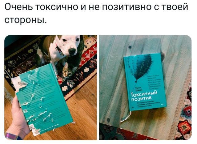 Очень токсично и не позитивно с твоей стороны.