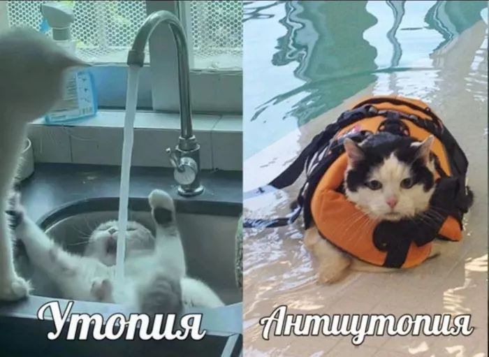 Утопия   Антиутопия