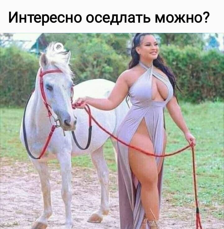 Интересно оседлать можно _